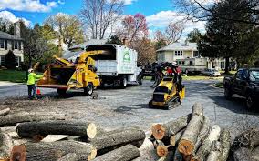 Best Seasonal Cleanup (Spring/Fall)  in Luverne, AL