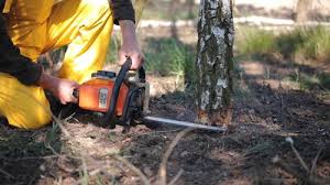 Best Aeration Services  in Luverne, AL