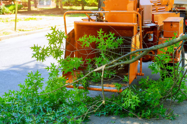 Luverne, AL Tree Services Company