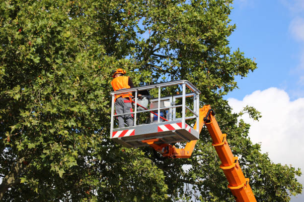 Best Pest Control for Lawns  in Luverne, AL