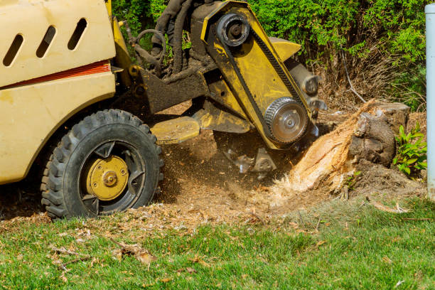 Best Emergency Tree Removal  in Luverne, AL