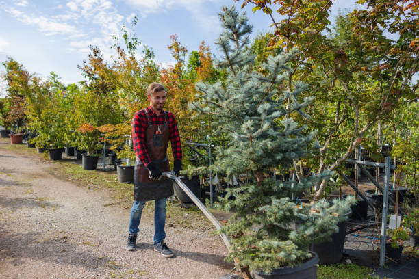Best Lawn Maintenance Plans  in Luverne, AL